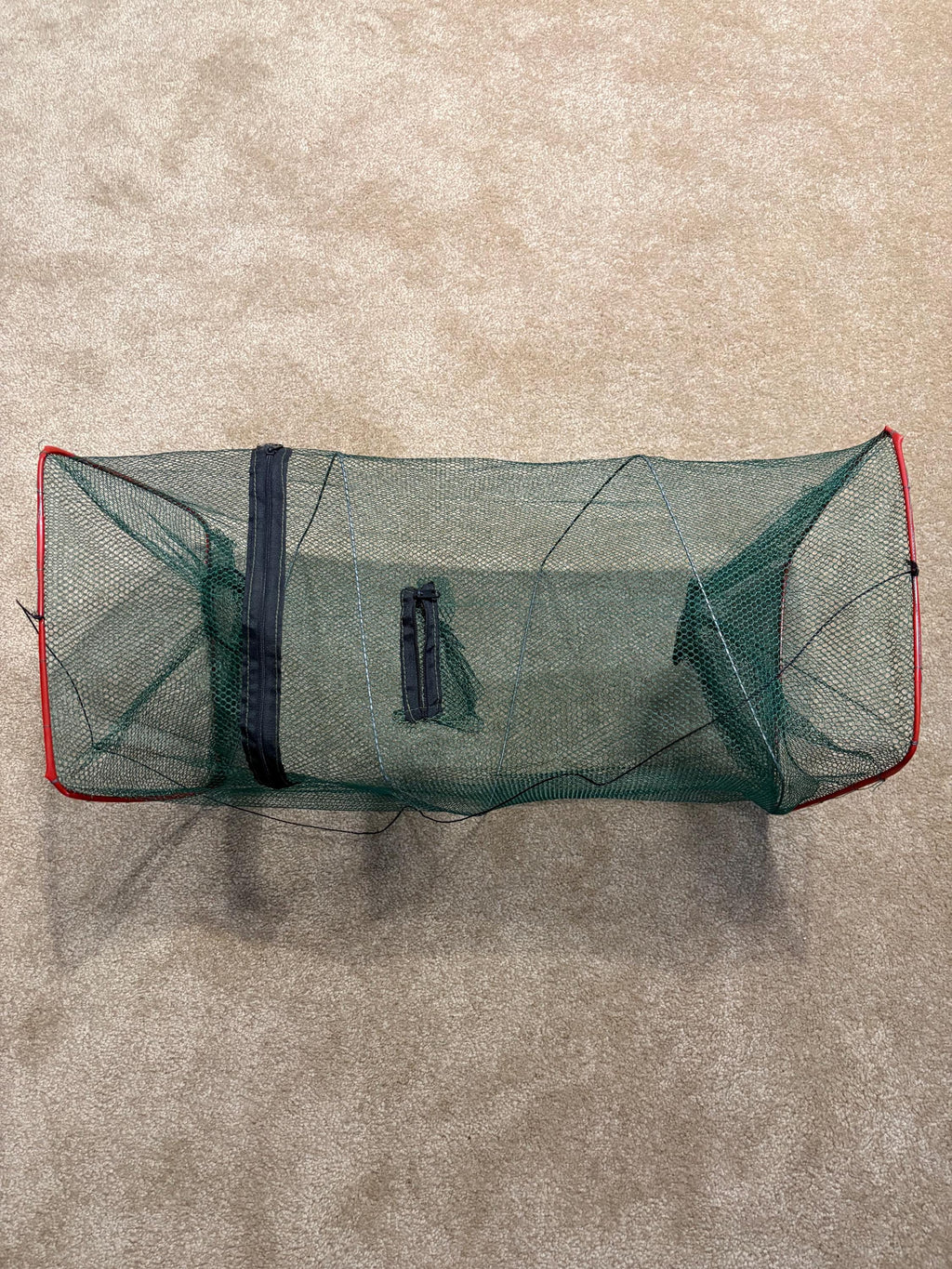 Minnow/Bait Trap