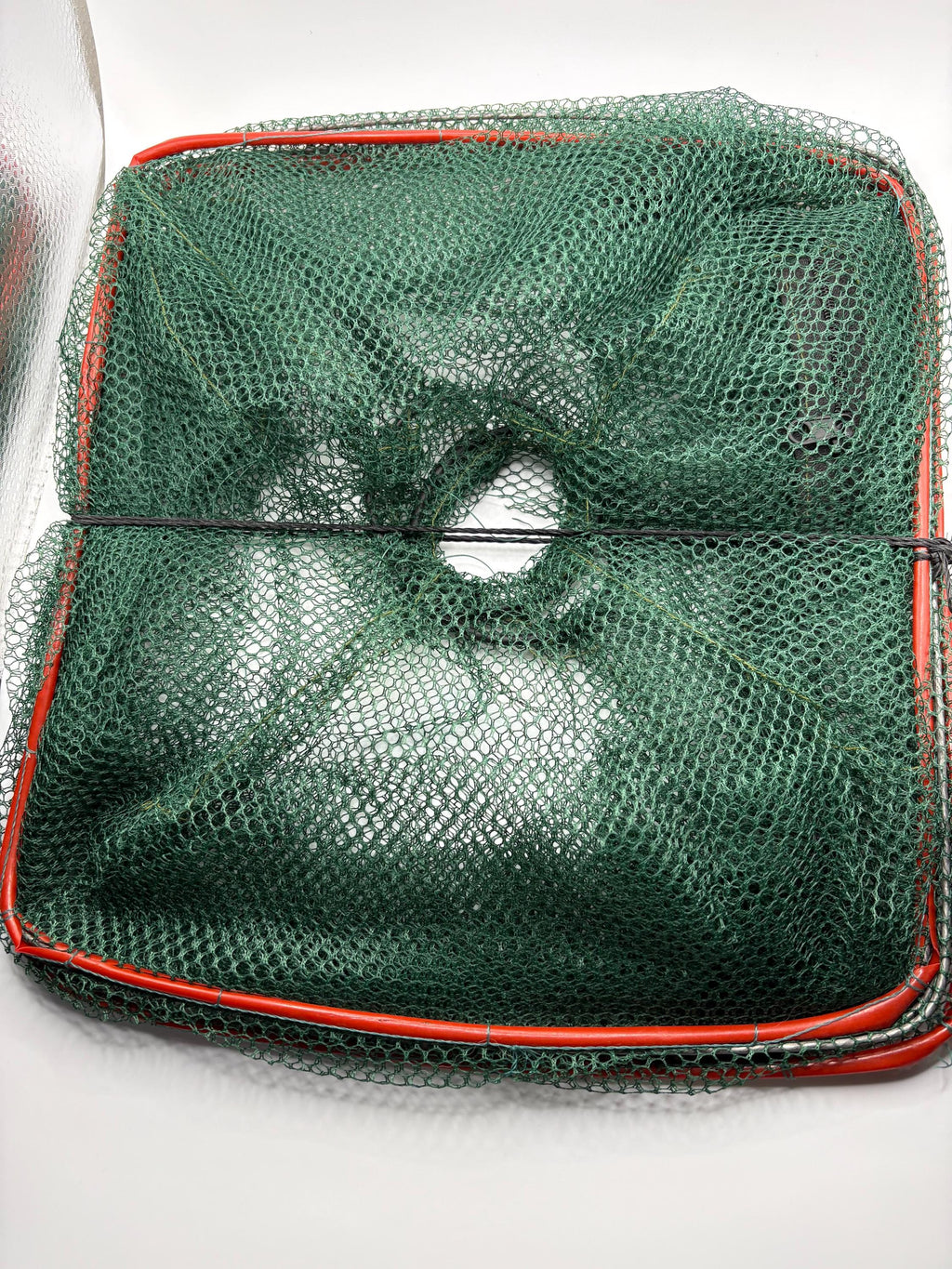 Minnow/Bait Trap