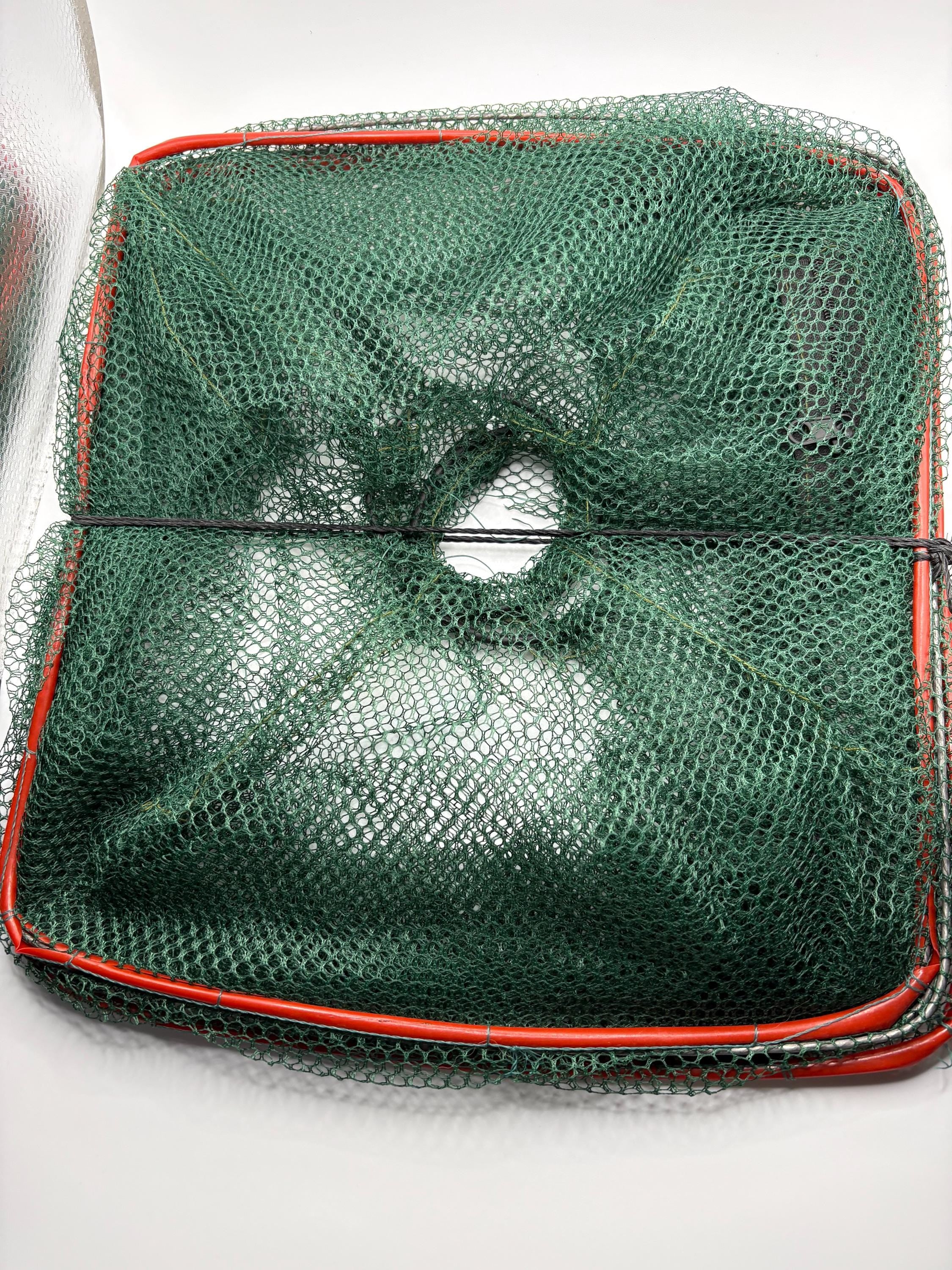 Minnow/Bait Trap