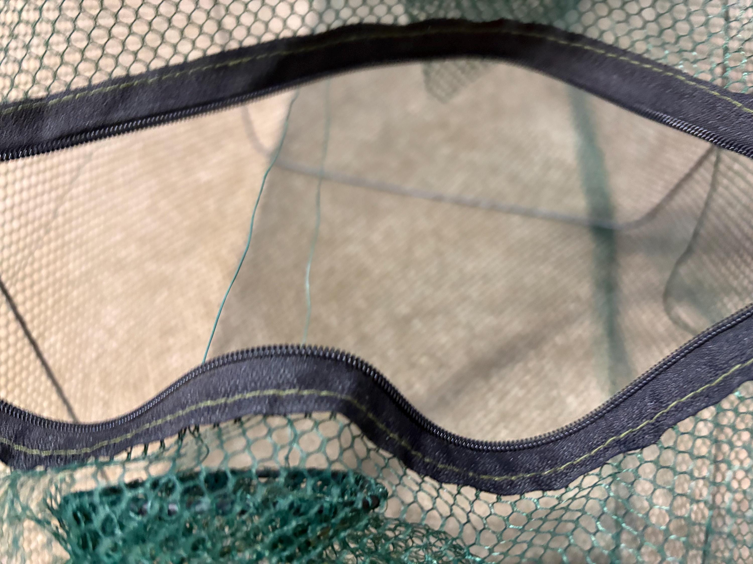 Minnow/Bait Trap