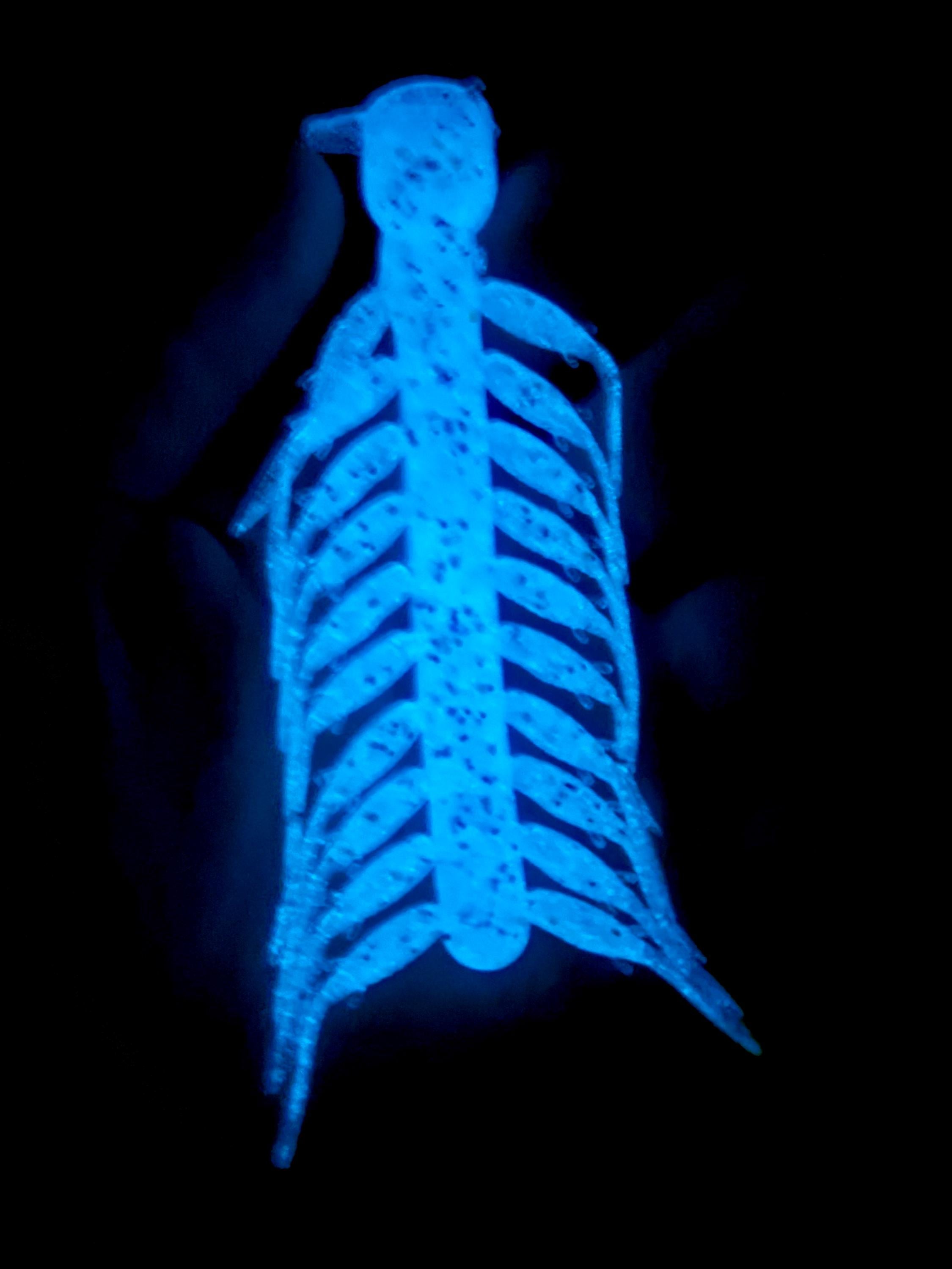 Ice fishing soft plastics kit