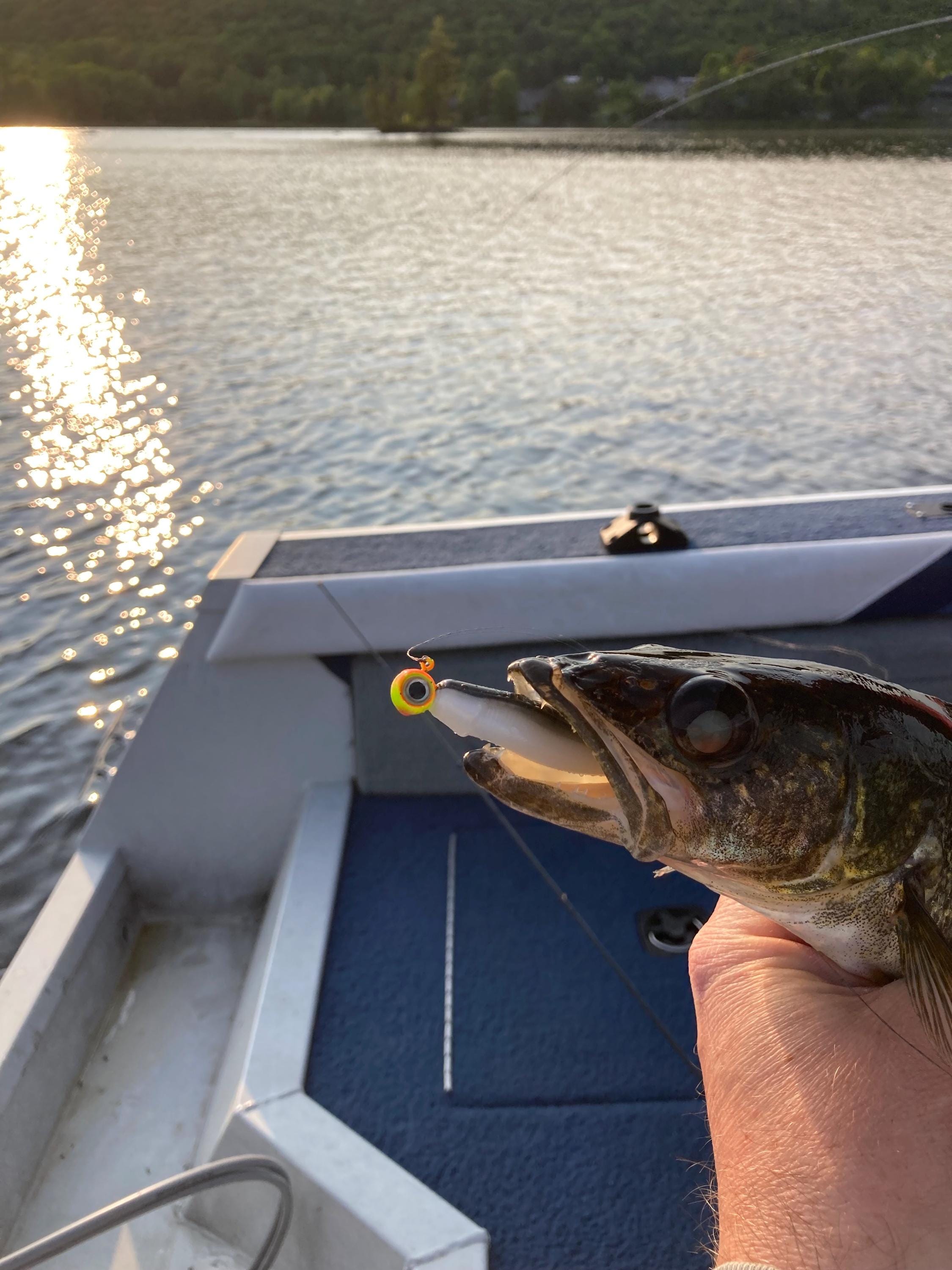 Mad Minnow